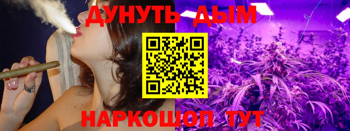 Шишки марихуана гибрид  Каннабис семена  МАРИХУАНА план  Шишки марихуана THC 21%  Гурьевск  Вход с VPN 